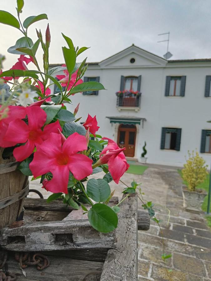 Agriturismo Villa Greggio Casalserugo المظهر الخارجي الصورة