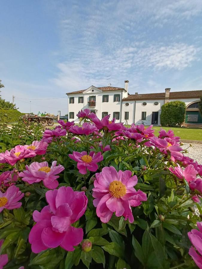 Agriturismo Villa Greggio Casalserugo المظهر الخارجي الصورة