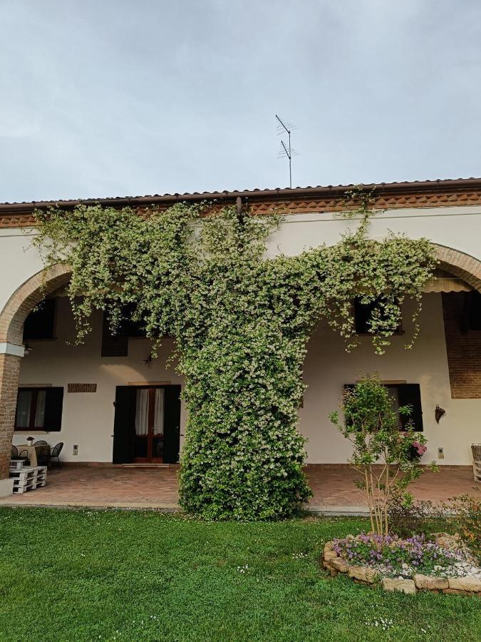 Agriturismo Villa Greggio Casalserugo المظهر الخارجي الصورة